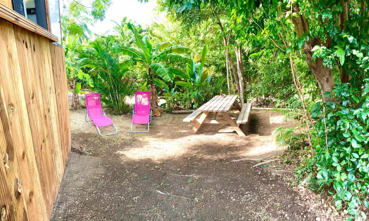 Lodge Colibris Piscine Privee Vue Panoramique Mer Et Montagne Pelee , 500 M Plage Dans Un Parc , Calme Assure Ideal Pour Decouvrir Le Nord Caraibes Le Carbet Bagian luar foto