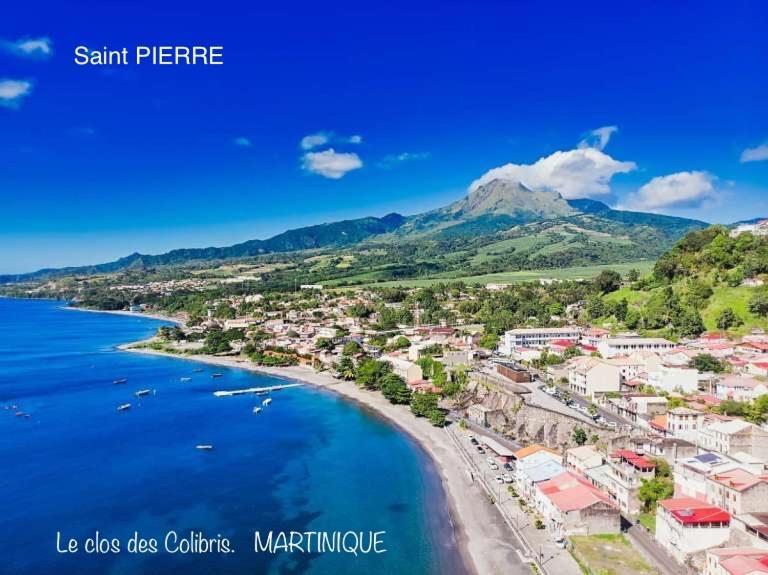 Lodge Colibris Piscine Privee Vue Panoramique Mer Et Montagne Pelee , 500 M Plage Dans Un Parc , Calme Assure Ideal Pour Decouvrir Le Nord Caraibes Le Carbet Bagian luar foto